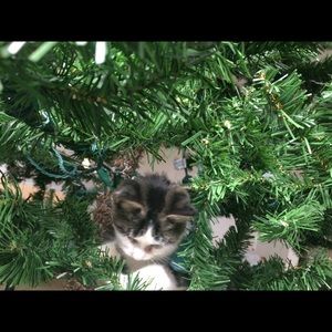 Meet your Posher, Annemarie